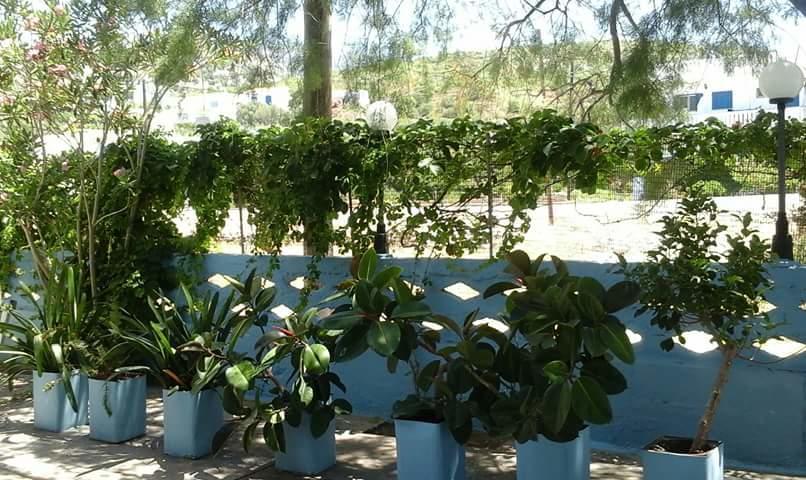 Pension Balos Koumeika Ngoại thất bức ảnh